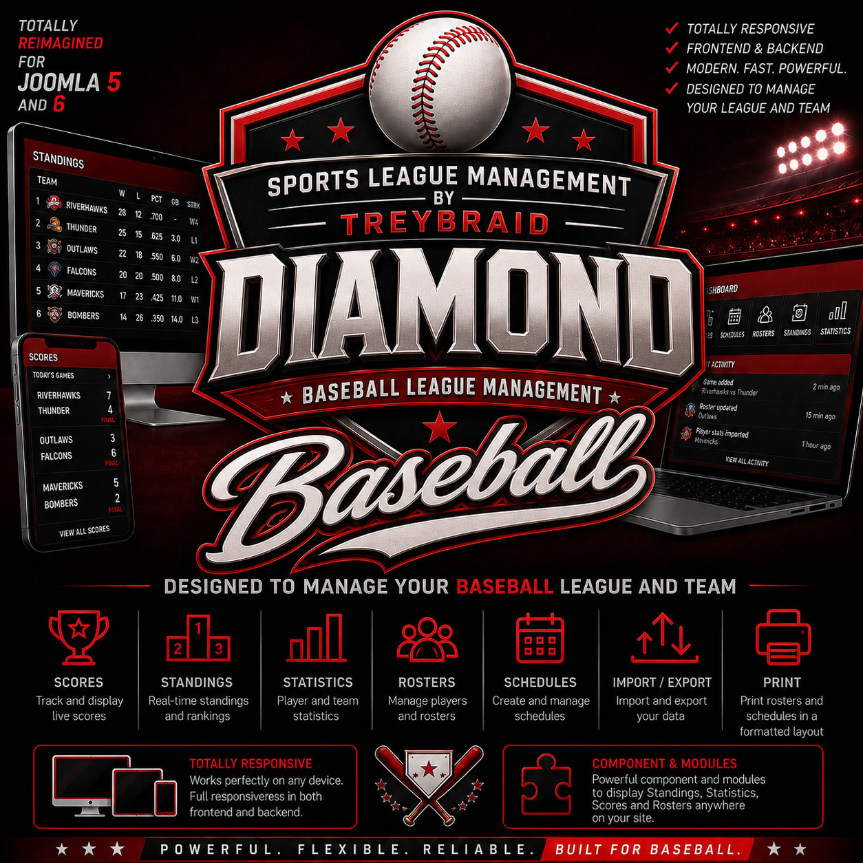 sports league management diamond